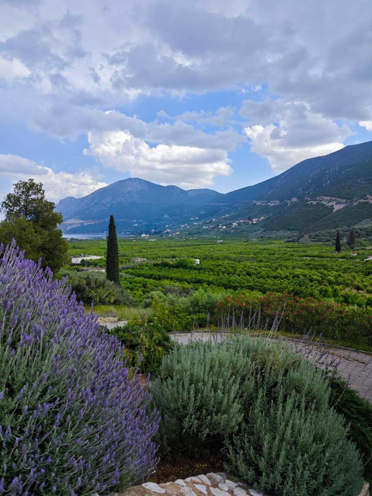 Melissafarm Guest House Epidaurus Exterior foto