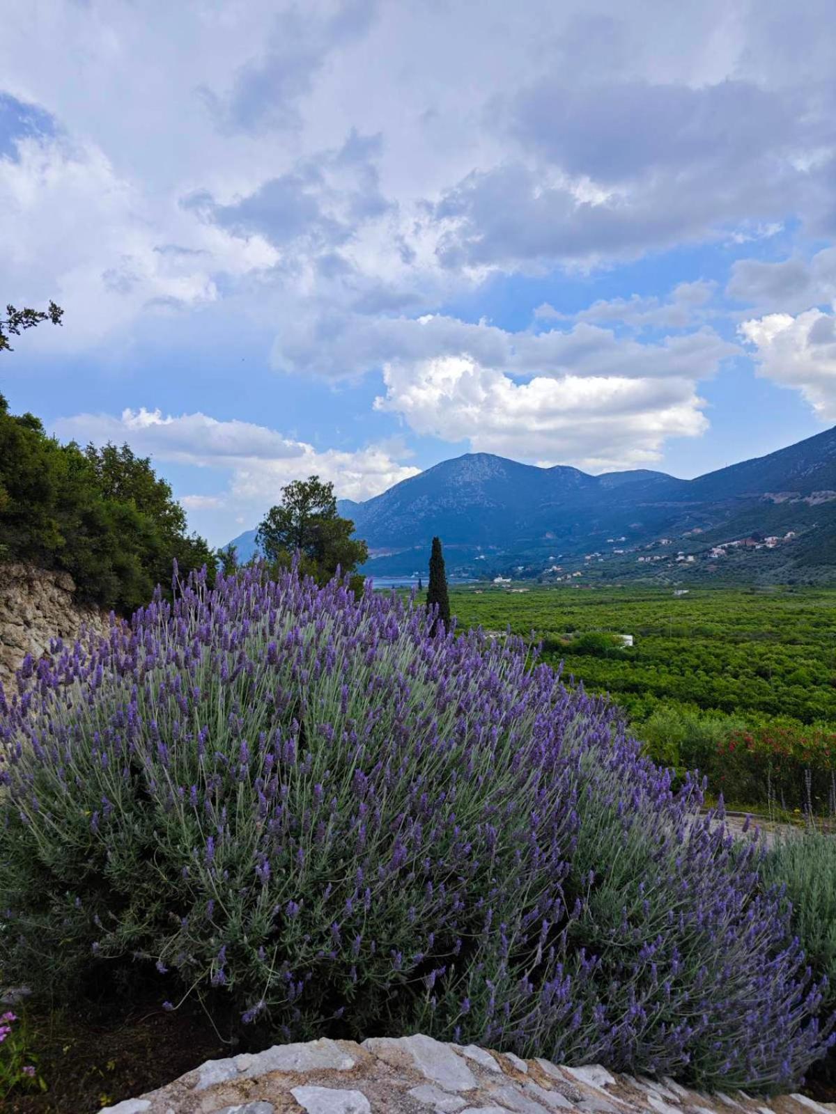 Melissafarm Guest House Epidaurus Exterior foto