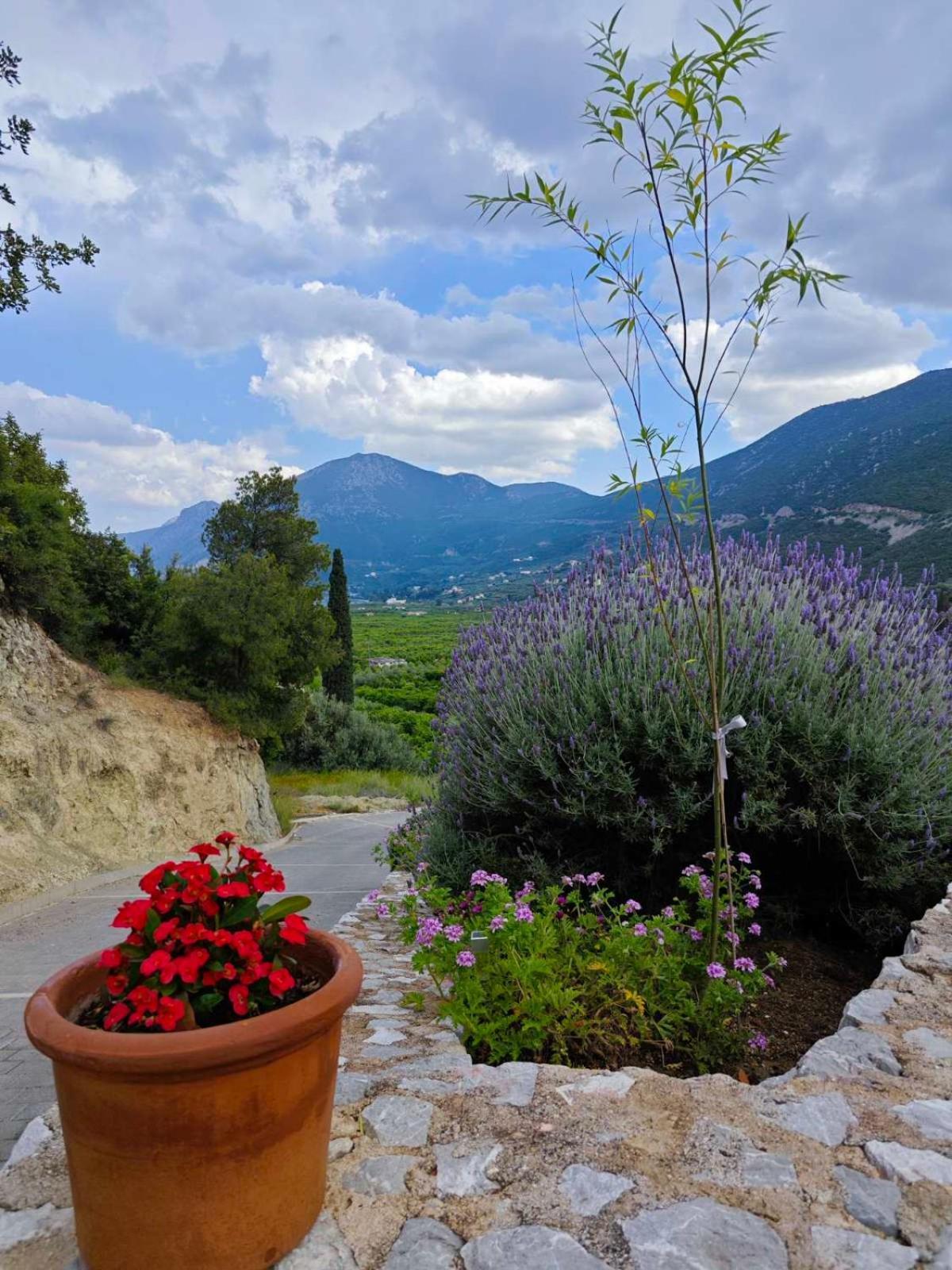 Melissafarm Guest House Epidaurus Exterior foto